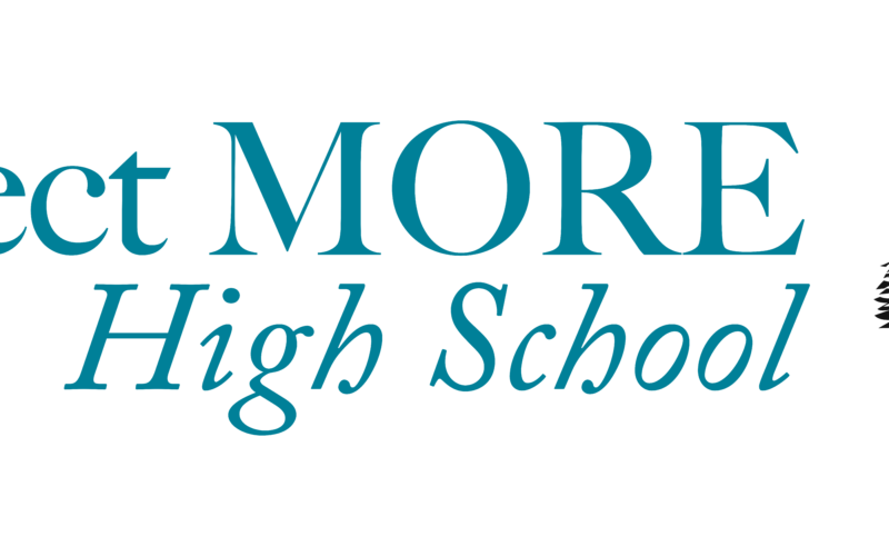 Project More high school logo